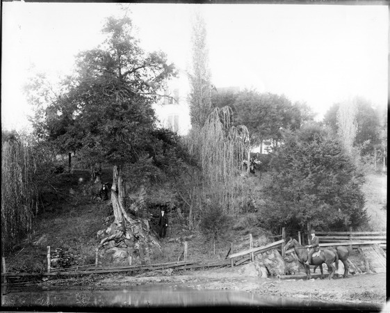 Site of John Craig's Fort, spring and hillside miniatura