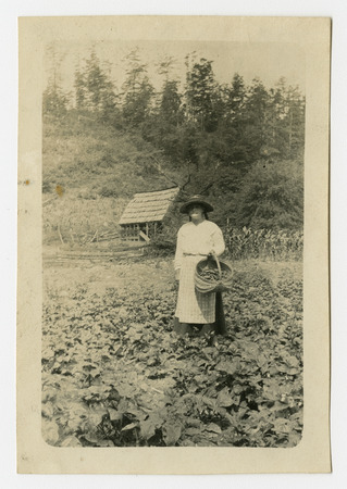 Glenn Jones gathering her first half bushel of beans. Miniature