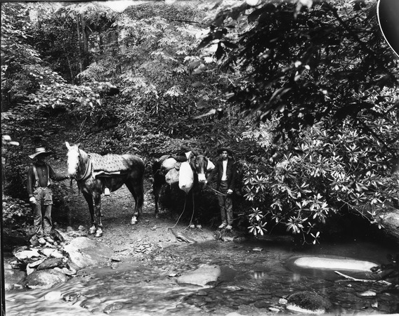Two men with a horse and a pack mule at a creek crossing miniatura